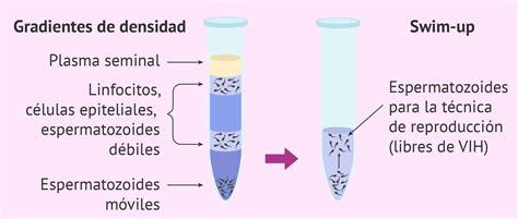 tragar semen vih|Transmitir el VIH por el semen